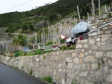 Tn DSC02312